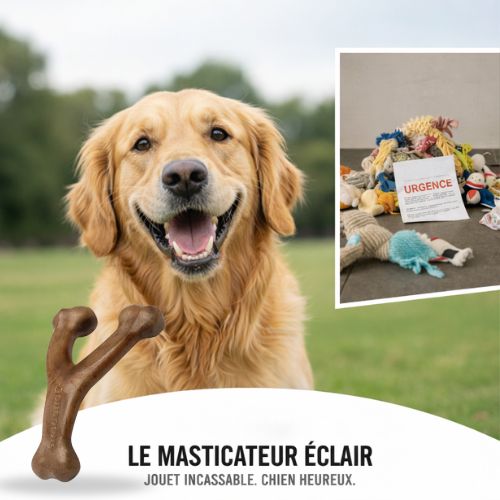 Powerchew™️-  Fini le Cycle Infernal des Jouets Détruits