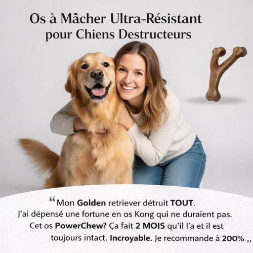 Powerchew™️-  Fini le Cycle Infernal des Jouets Détruits